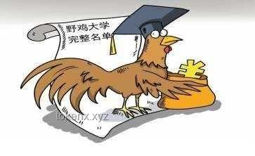 从“网吧玩这个让隔壁吃鸡的笑话一下午”看创新思维的魅力🎮,创意激发,跨界融合,笑料变金,灵感闪现